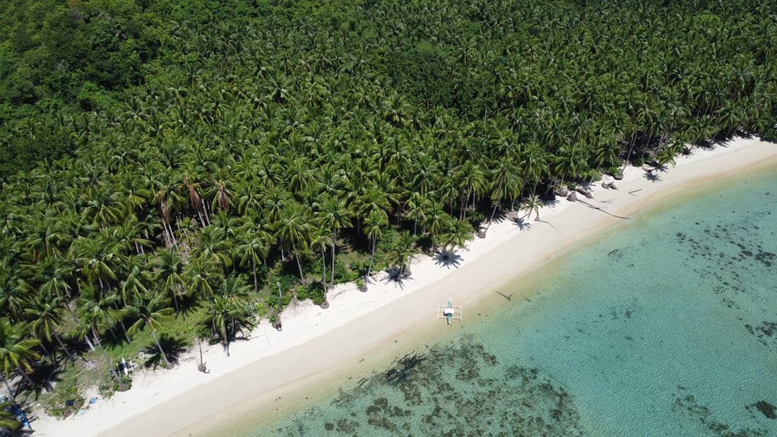 Why Palawan Is a Top Property Investment for 2026