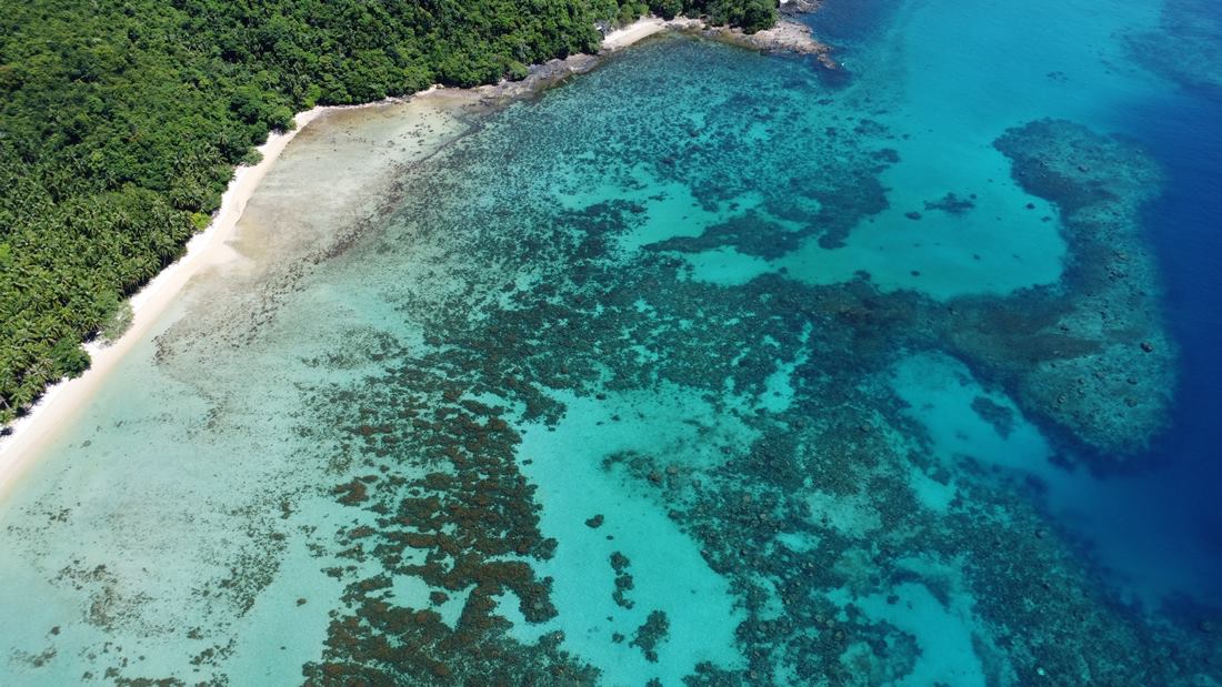 4.5 Hectare Cadlao Island
