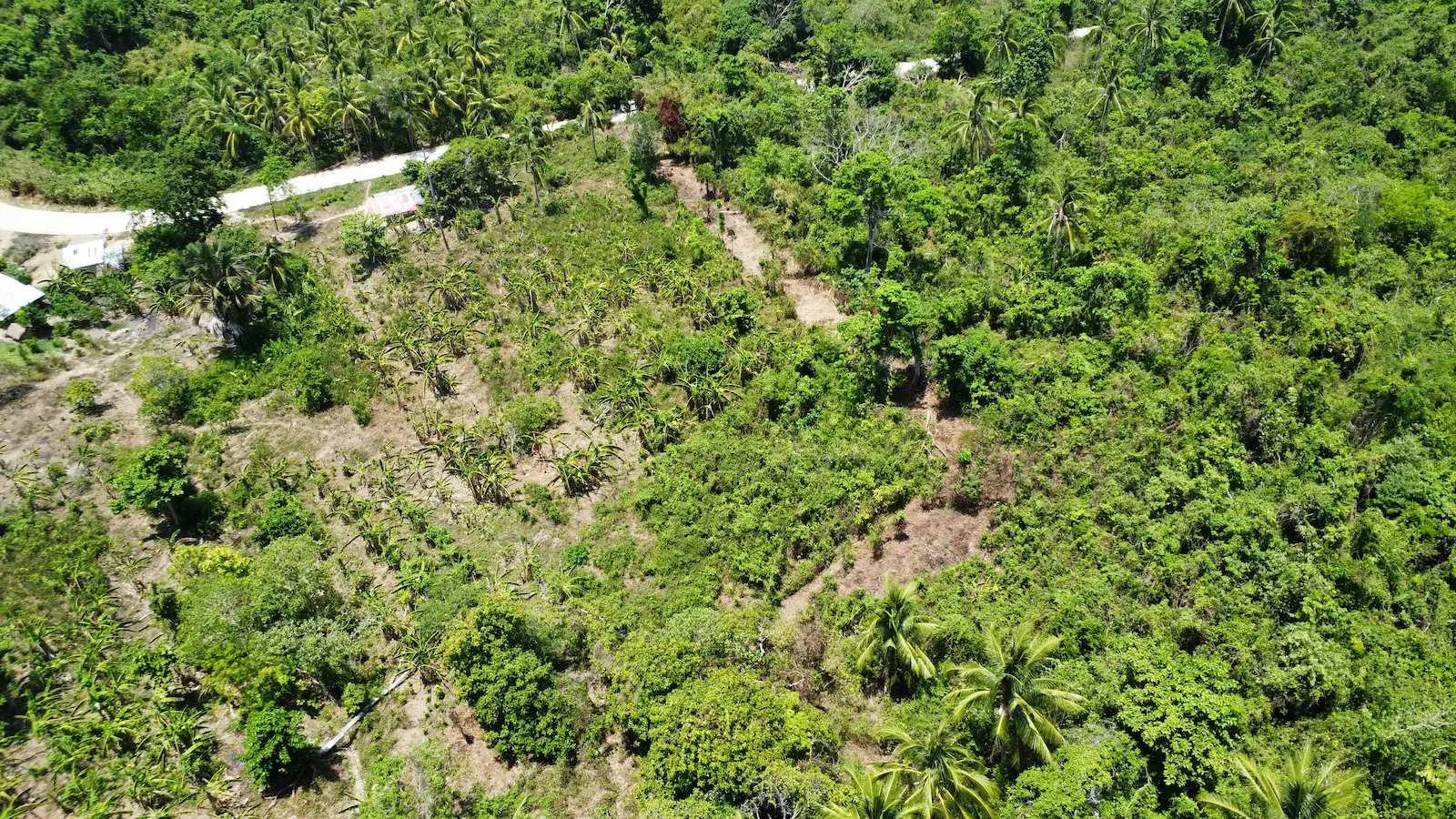 Prime Overlooking Property — Tiniguiban